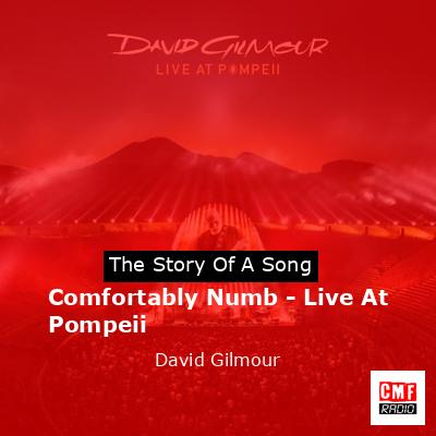 Comfortably Numb – Live At Pompeii – David Gilmour
