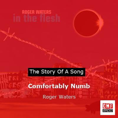 Comfortably Numb – Roger Waters