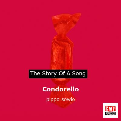 final cover Condorello pippo sowlo