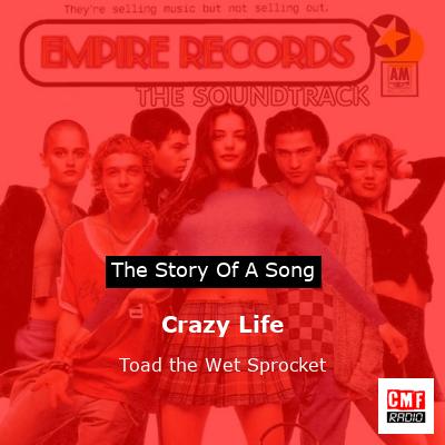 Crazy Life – Toad the Wet Sprocket