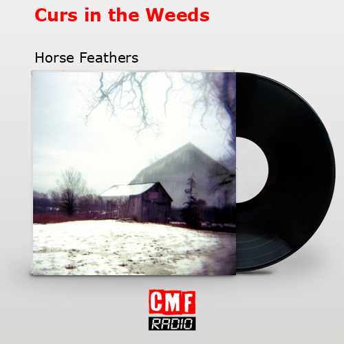 Curs in the Weeds – Horse Feathers