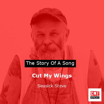 Cut My Wings – Seasick Steve