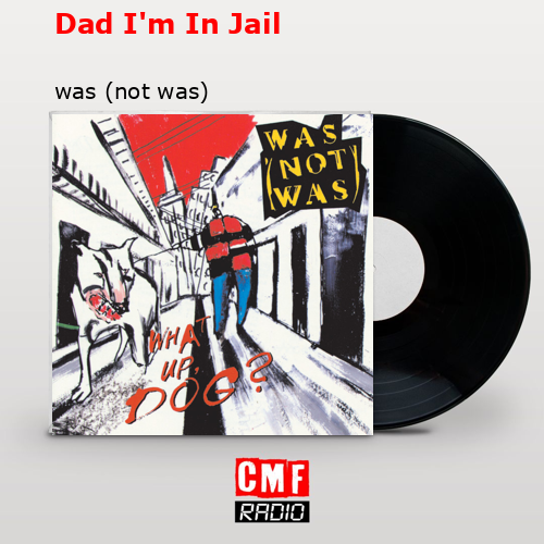 final cover Dad Im In Jail was not was