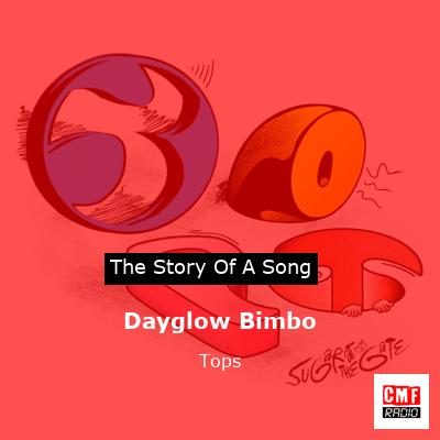 Dayglow Bimbo – Tops