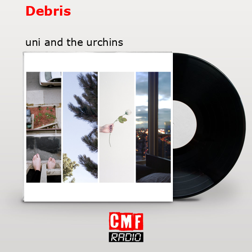 Debris – uni and the urchins