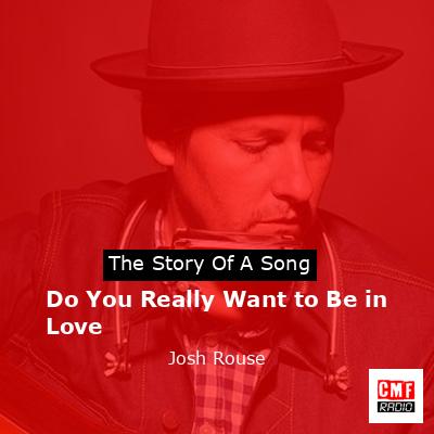 Do You Really Want to Be in Love – Josh Rouse