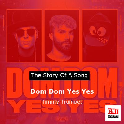 The story and meaning of the song 'Dom Dom Yes Yes - Timmy Trumpet 