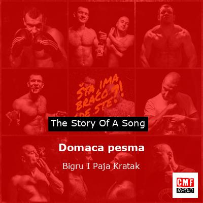 Domaca pesma – Bigru I Paja Kratak