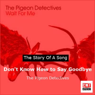 Don’t Know How to Say Goodbye – The Pigeon Detectives