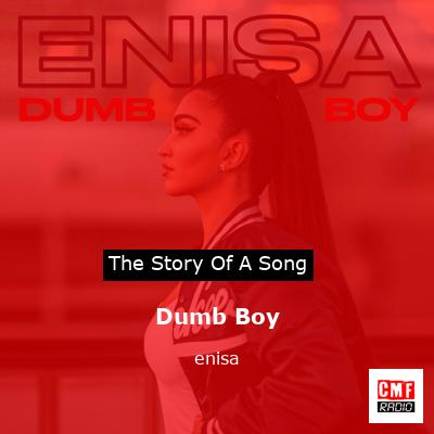 Dumb Boy – enisa