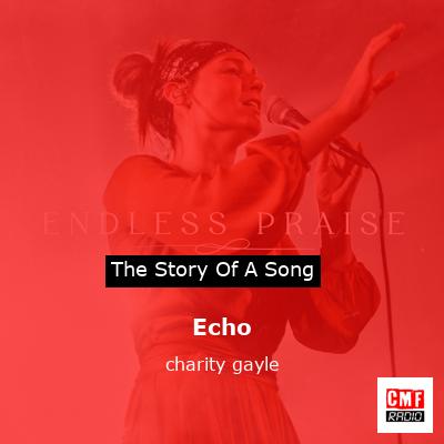 final cover Echo charity gayle
