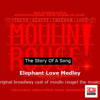 Elephant Love Medley – original broadway cast of moulin rouge! the musical