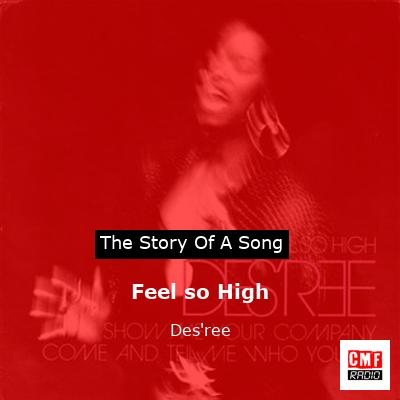 final cover Feel so High Desree