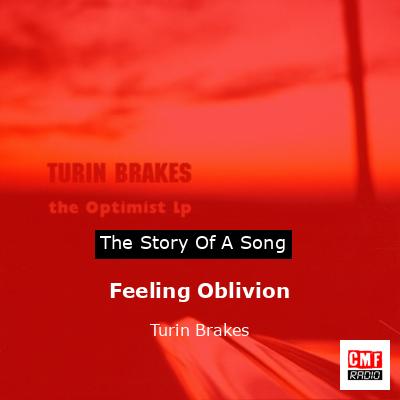 Feeling Oblivion – Turin Brakes