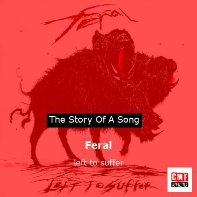 Feral – left to suffer