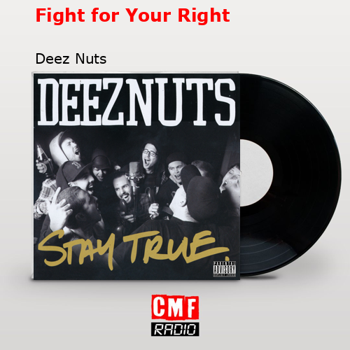 final cover Fight for Your Right Deez Nuts