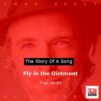 Fly in the Ointment – Fran Healy