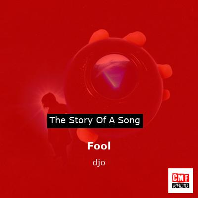 Fool – djo