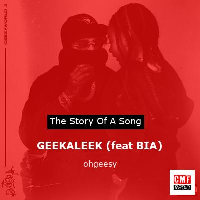 final cover GEEKALEEK feat BIA ohgeesy