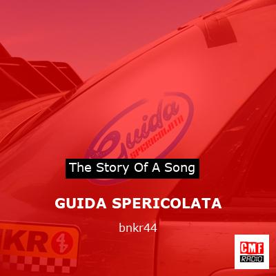 GUIDA SPERICOLATA – bnkr44