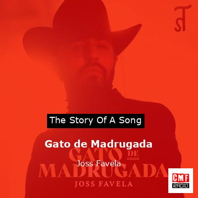 Gato de Madrugada – Joss Favela