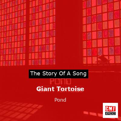 Giant Tortoise – Pond