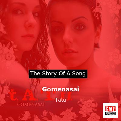 final cover Gomenasai Tatu