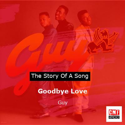 final cover Goodbye Love Guy