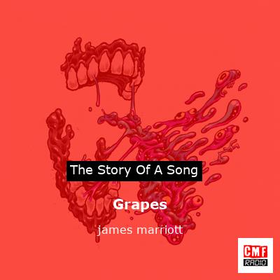 Grapes – james marriott