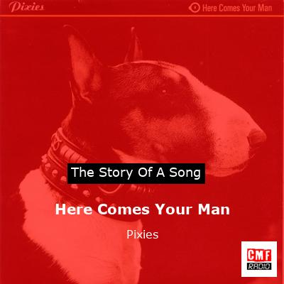 Here Comes Your Man – Pixies