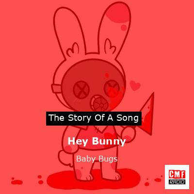 Hey Bunny – Baby Bugs