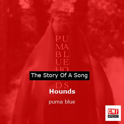 Hounds – puma blue