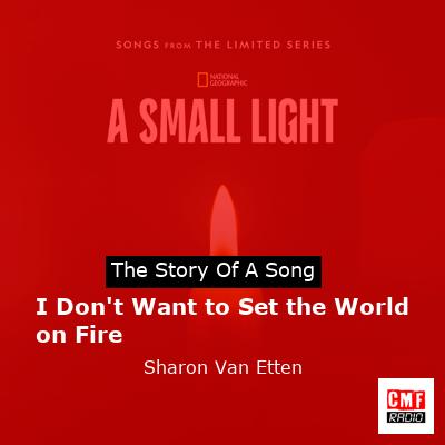 I Don’t Want to Set the World on Fire – Sharon Van Etten