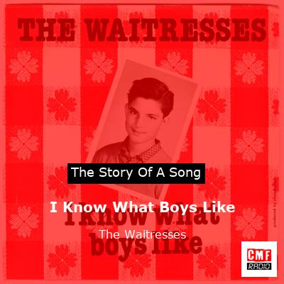 final cover I Know What Boys Like The Waitresses
