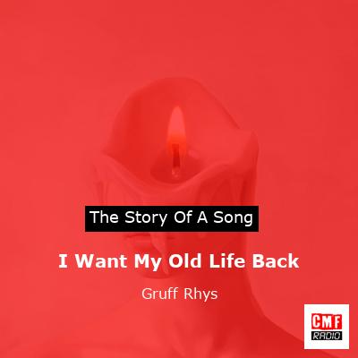I Want My Old Life Back – Gruff Rhys