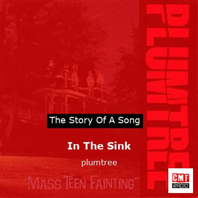 In The Sink – plumtree