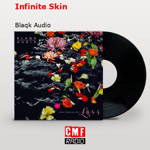 Infinite Skin – Blaqk Audio