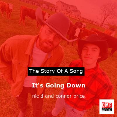 It’s Going Down – nic d and connor price