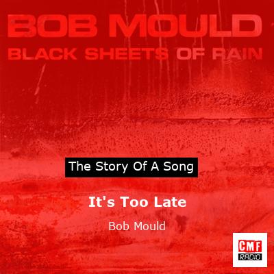 The story and meaning of the song 'It's Too Late - Bob Mould