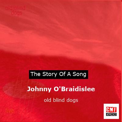 final cover Johnny OBraidislee old blind dogs