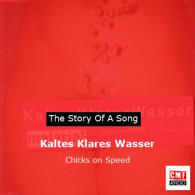 Kaltes Klares Wasser – Chicks on Speed