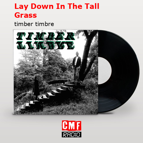 Lay Down In The Tall Grass – timber timbre