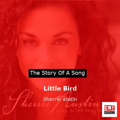 final cover Little Bird Sherrie austin