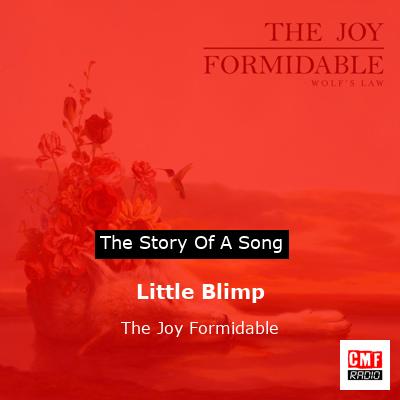 Little Blimp – The Joy Formidable