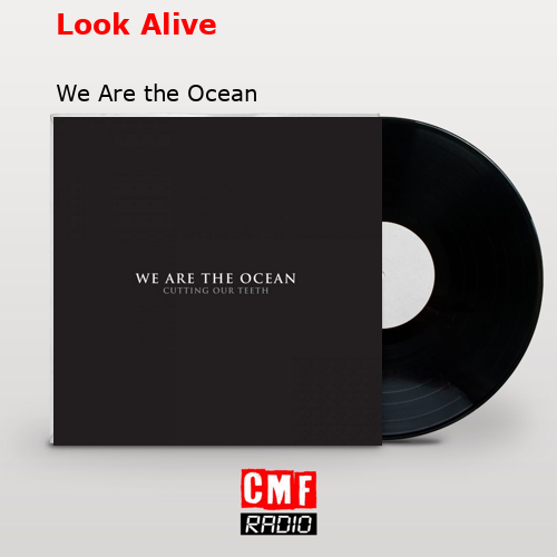 the-story-and-meaning-of-the-song-the-waiting-room-we-are-the-ocean