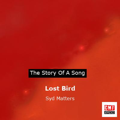 Lost Bird – Syd Matters