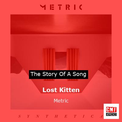 final cover Lost Kitten Metric