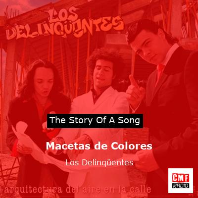 Macetas de Colores – Los Delinqüentes