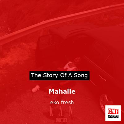 Mahalle – eko fresh