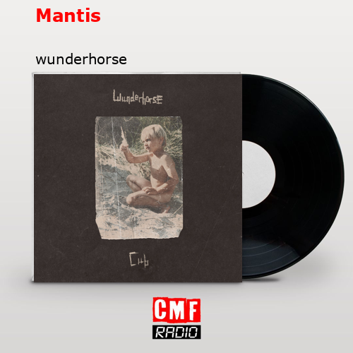 Mantis – wunderhorse